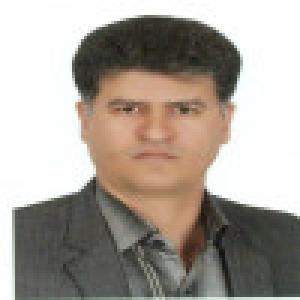 هادی میرشمسی