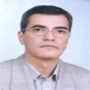 سید حمید موحد محمدی