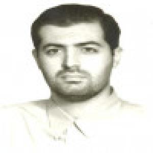 کوروش ابراهیم نژاد گرجی