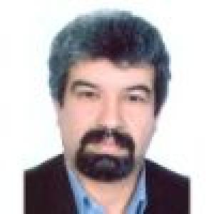 سید محمد علوی