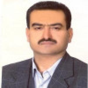 محمد شیخی