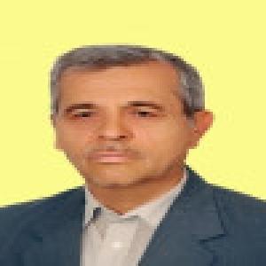 شمس الدین میردامادی