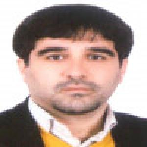 محمدرضا رجبی