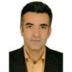 سید رضا میری