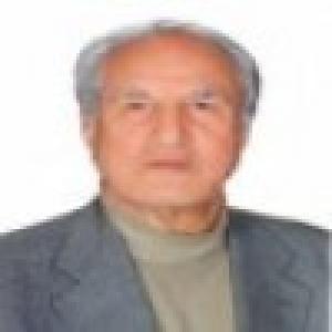 ولی الله انصاری