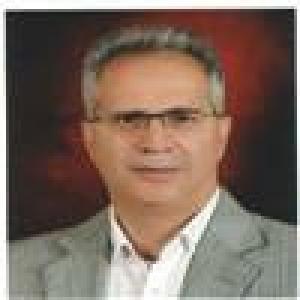 نزهت احمدی
