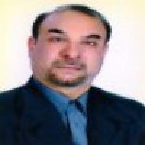 محمدحسین بیات