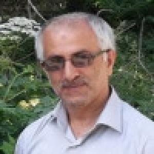 سیدیحیی کاظمی هریکندئی