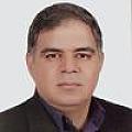 علی کارگری
