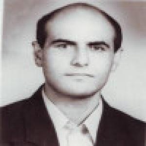 سیدعبدالرضا گنجعلیخان