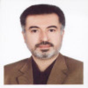 هاشم مسدد