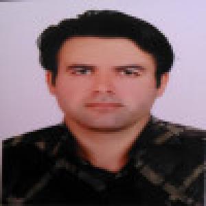 مجتبی سلطانی کرمانشاهی