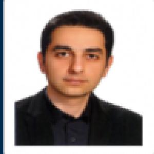 شروین رحیم زاده عرشلو
