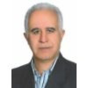 محمد تقی شیخی