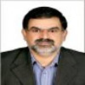 رضا مسیبی