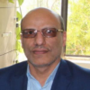 سید محمود مدرس هاشمی
