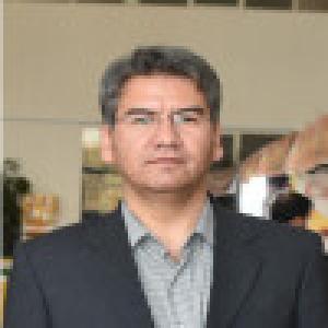 امیر کریمی