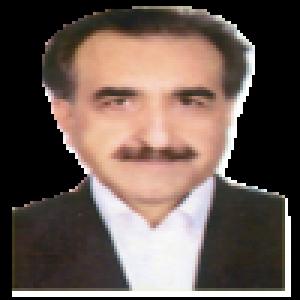 حسن صدیقی