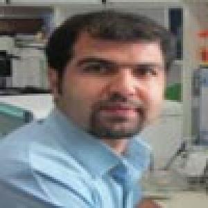 محمود تلخابی