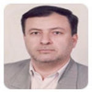 مجتبی قروی
