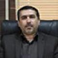 شاهین کرد