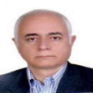 شادپور ملک پور