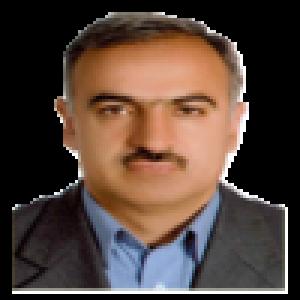 مجید میرلطفی