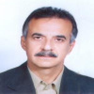 سید محسن حبیبی