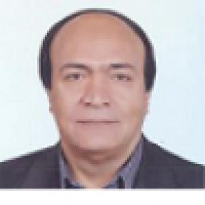 سیدرضا شادی زاده