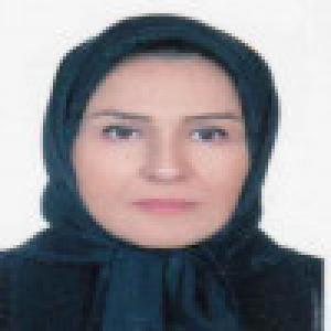 کتیور زیرکساز