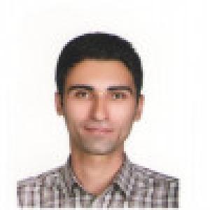 هادی تقوی فر