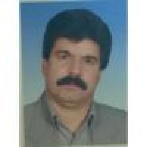 هوشنگ محمدی افشار