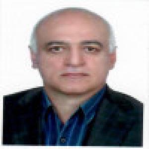 محمدرضا امیرسیف الدینی