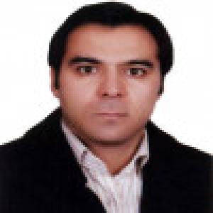 مهدی عادل فر