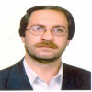 هادی احمدی