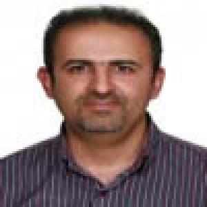 پیمان میرزایی