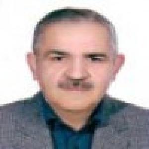 فرخ برزیده