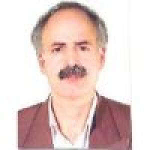 حمید ارجمند کرمانی