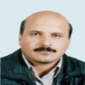 حمید نجفی زرینی