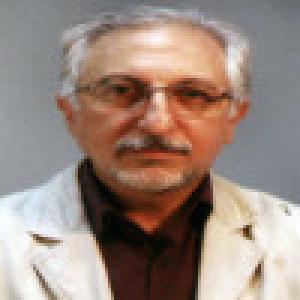 سید محمد فدوی