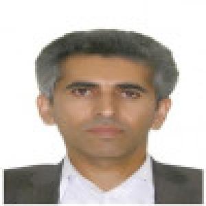 هادی امیری