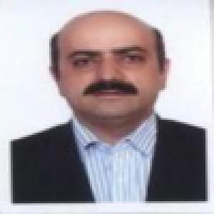 مهران شکری
