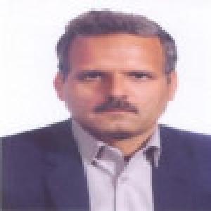 رضا زارعی سهامیه