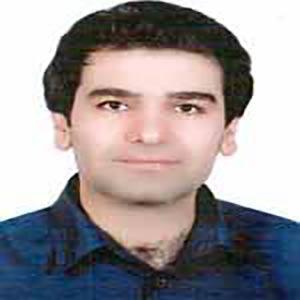 هادی پارسا