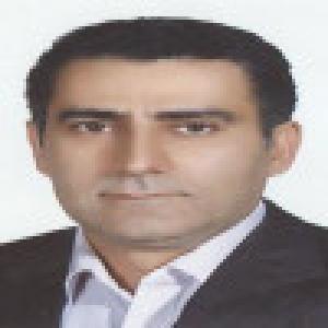 سعید ولی زاده