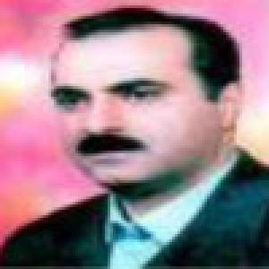 علیرضا فیروزجاهی