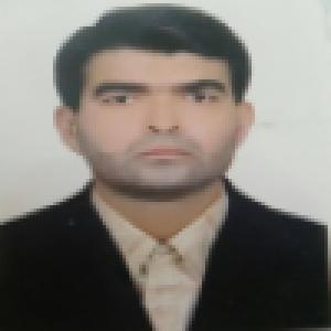 مهدی بهاری مقدم