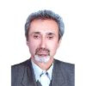 شاهرخ فرهنگی