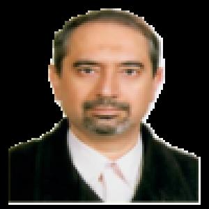 ناصر خاجی