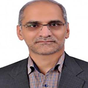 محمدحسین امینی فرد